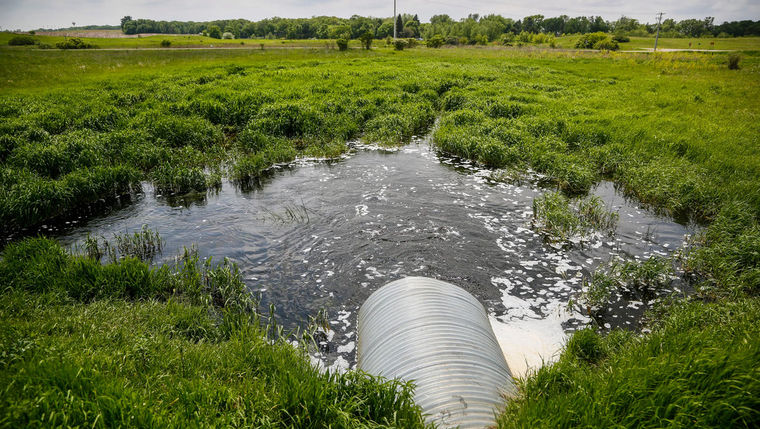 🌳 Growing Hope: Trees Against Water Pollution 💧