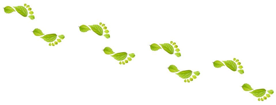 What is Carbon Footprint? Complete Guide to Understanding & Reducing Environmental Impact
