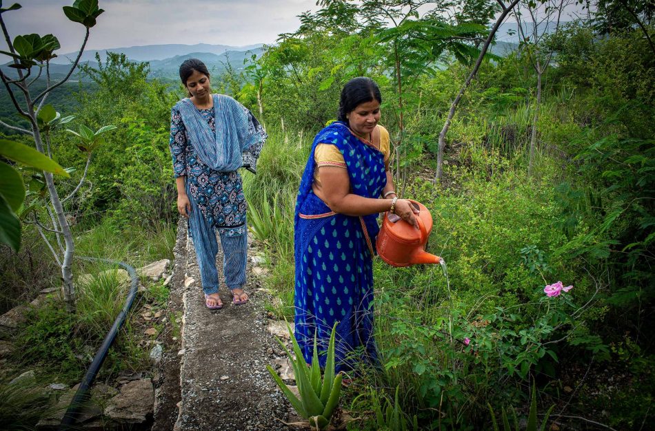 This village in India plants 111 trees every time a girl child is born