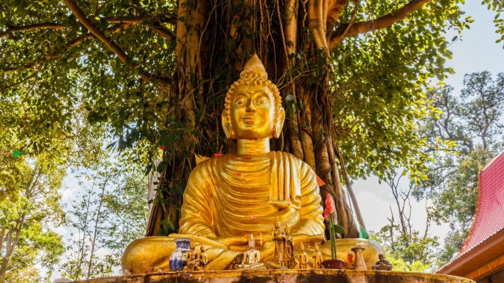 Bodhi Tree: The Sacred Symbol of Enlightenment and Inner Peace