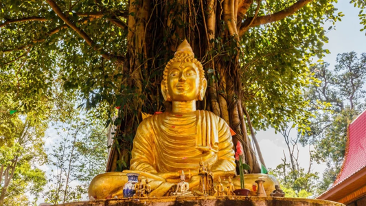 Bodhi Tree: The Sacred Symbol of Enlightenment and Inner Peace
