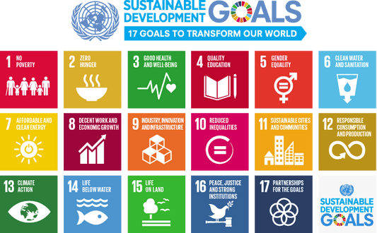 From Saplings to Solutions: How Tree Plantation Sows the Seeds of SDGs