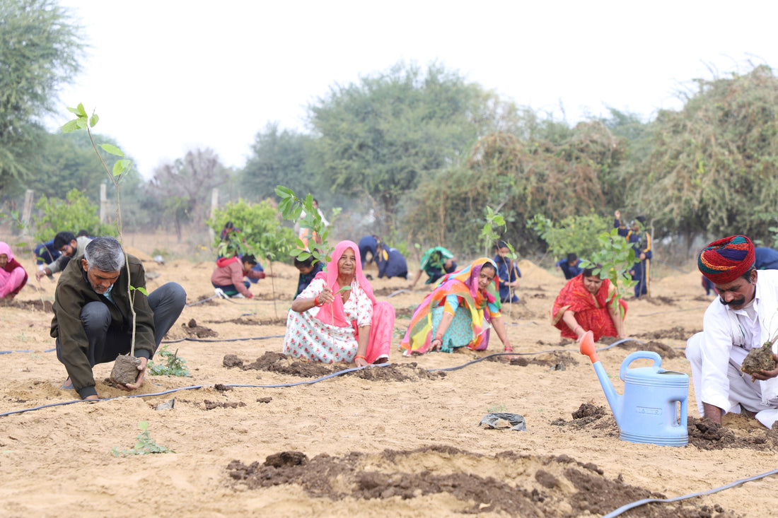 Community Tree Planting Initiatives: Engaging Locals in Carbon Reduction