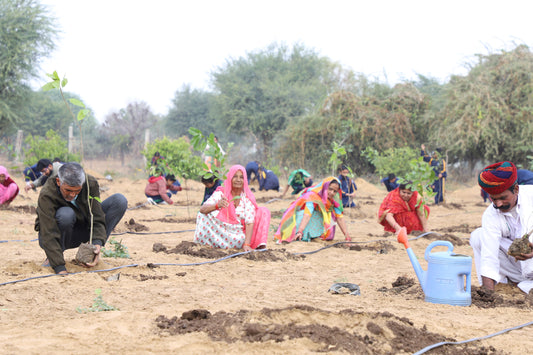 Community Tree Planting Initiatives: Engaging Locals in Carbon Reduction