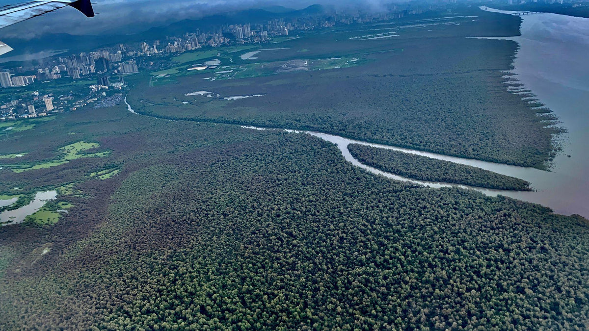 Mumbai Coastal Road Project: Balancing Infrastructure with Conservation