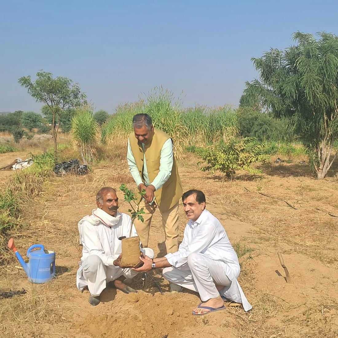 Surendra Awana: Tree Man of Rajasthan: A Green Crusader's Remarkable Journey