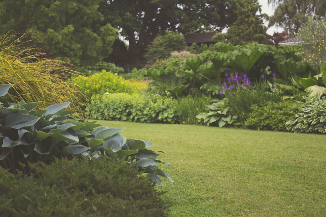 Eco-friendly Gardening: Incorporating Tree Plantation into Your Home Garden