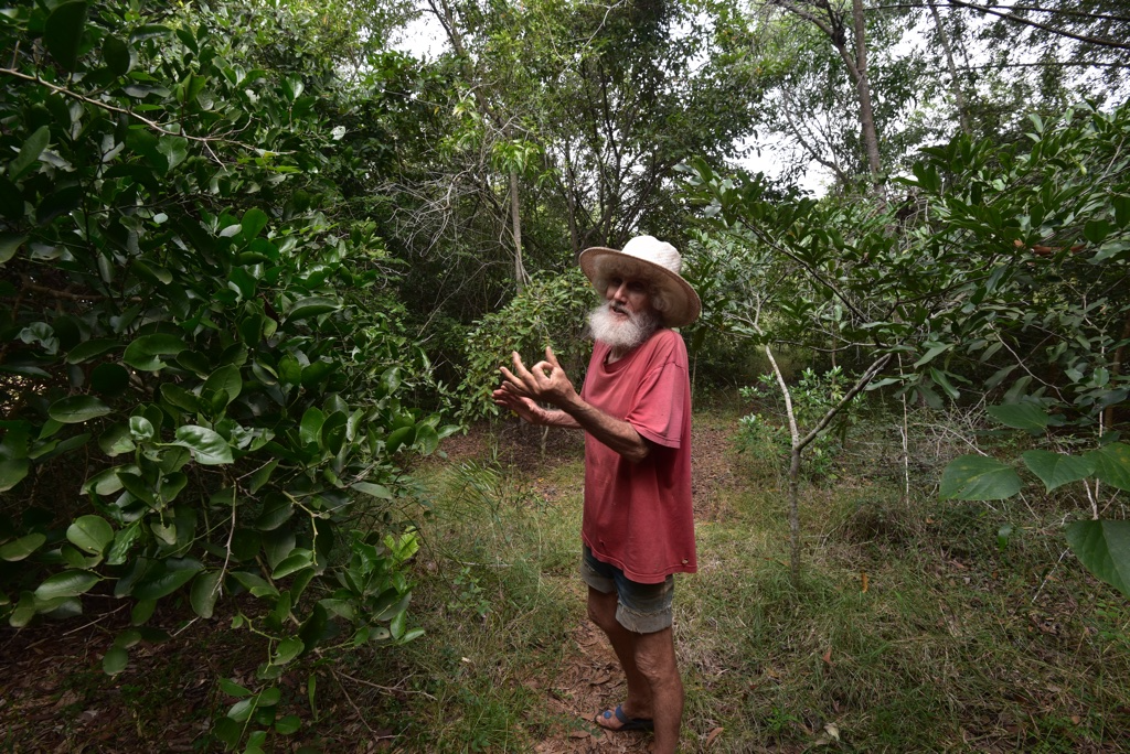 Ashish Kothari: Revolutionizing Green Landscapes and Pioneering Environmental Sustainability