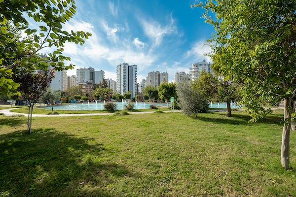 How trees are vital for our modern cities?