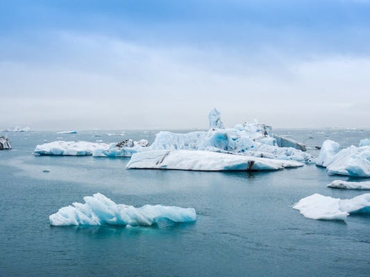 What are the impacts of climate change?