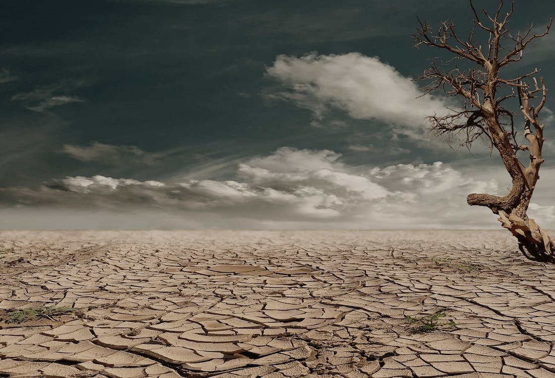 What is Climate Change ?