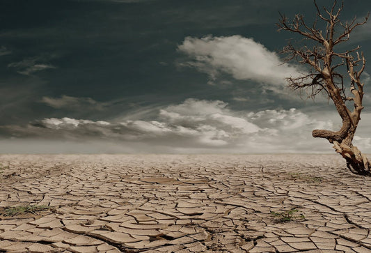 What is Climate Change ?