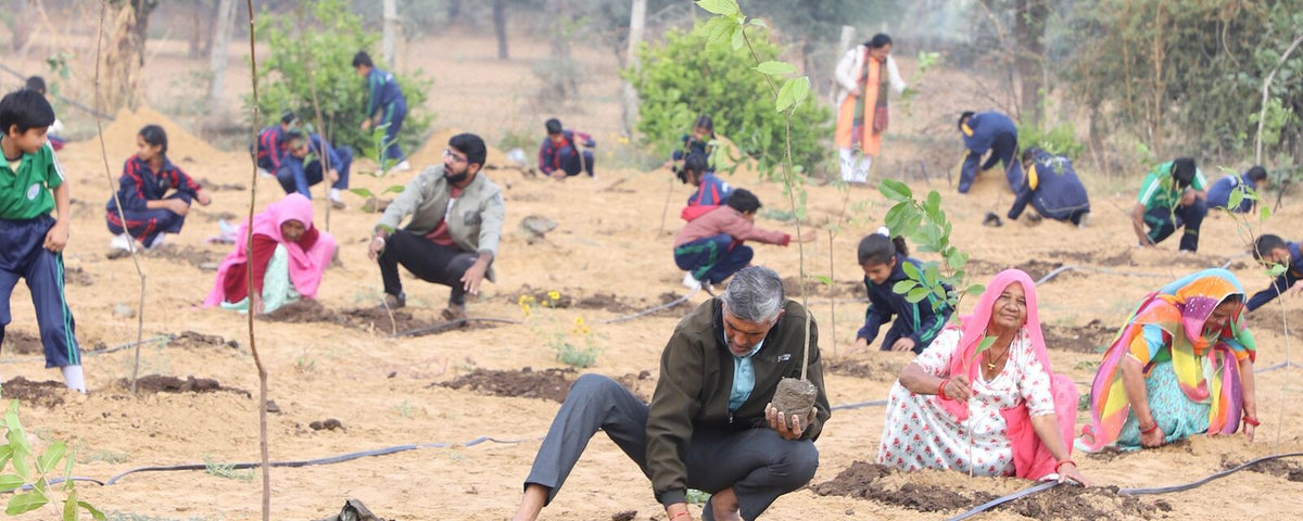Volunteers at a CSR tree plantation drive