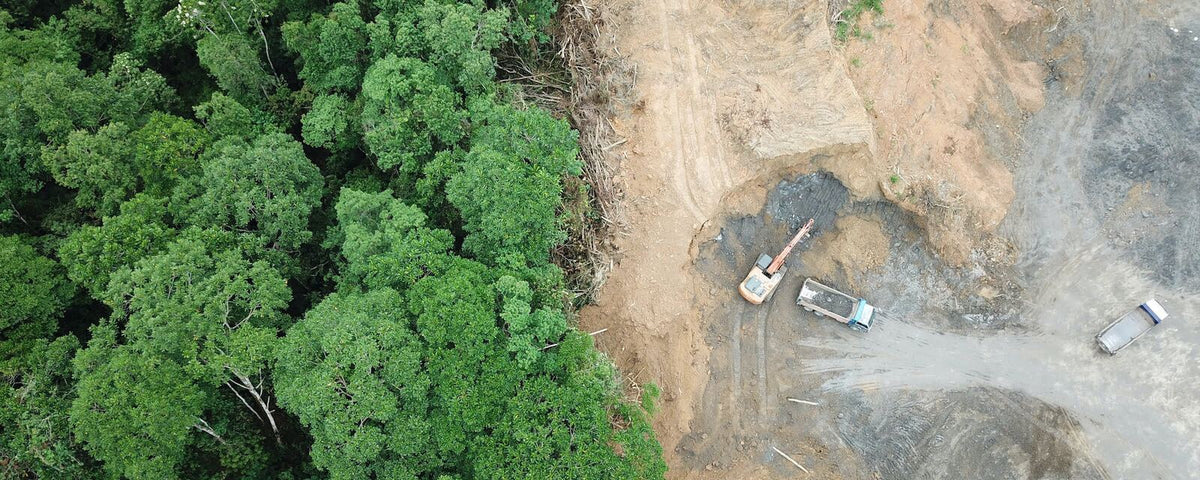 Aerial view of a forest edge beside land cleared by excavators