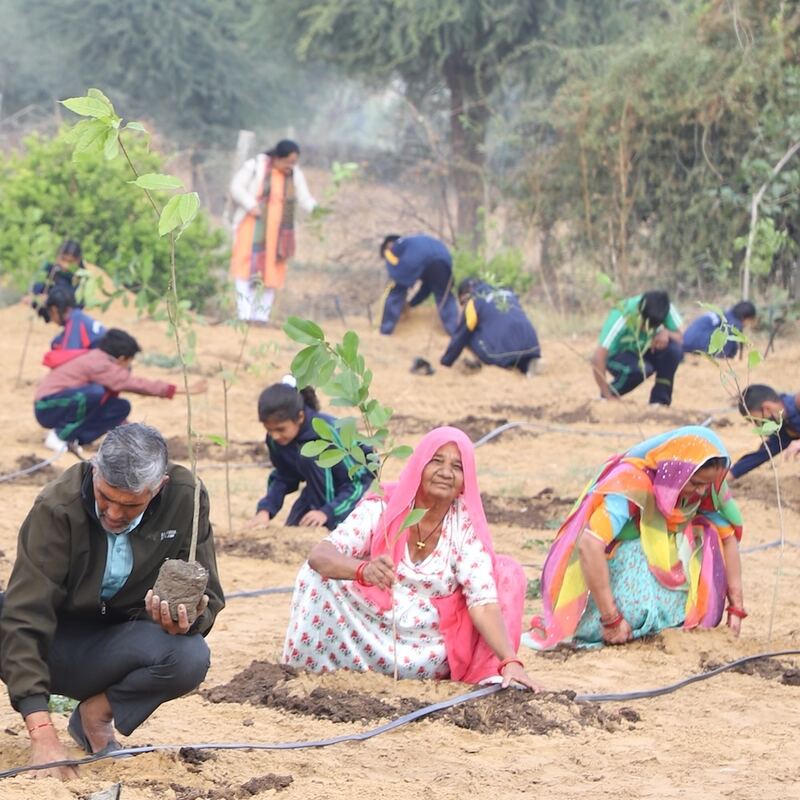 Village women planting saplings at a Grow Billion Trees plantation drive
