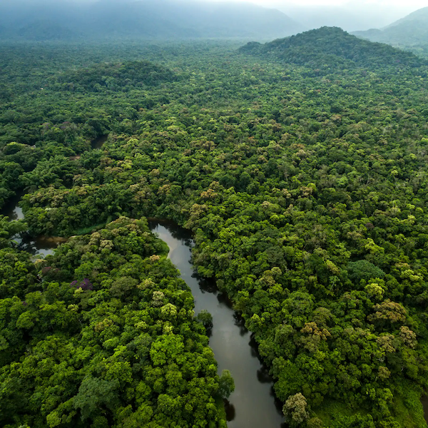 Aravalli Green Wall: The Superhero We Need Right Now!