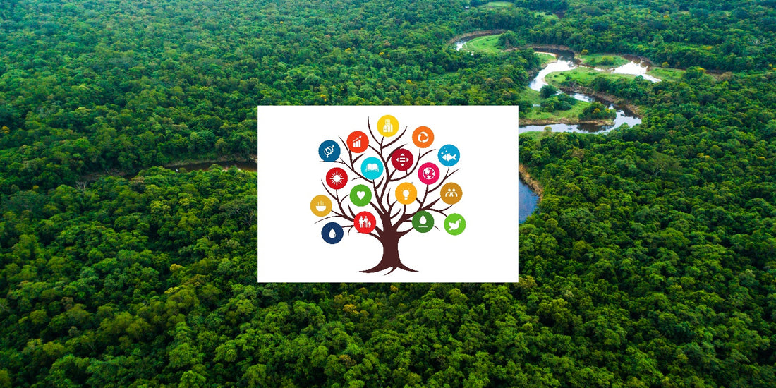 Nature’s Blueprint : How Trees Support all the 17 SDGs