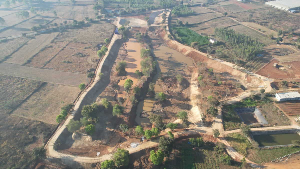 Urban Forest in Bangalore: Creating Green Oases for Sustainable City Living