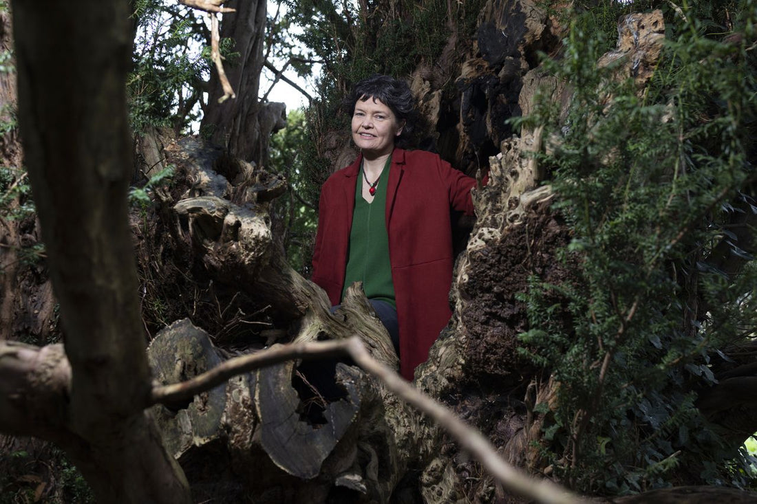 Kate Raworth: The Economist Who Created the Doughnut Model for Sustainable Growth