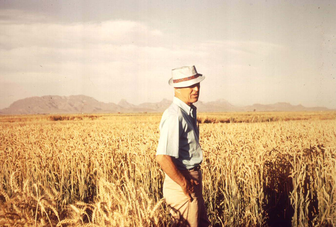 Norman Borlaug: The Man Who Fed the World and Revolutionized Agriculture