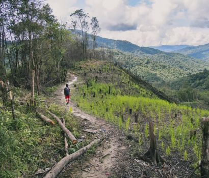 How can we reverse climate change?