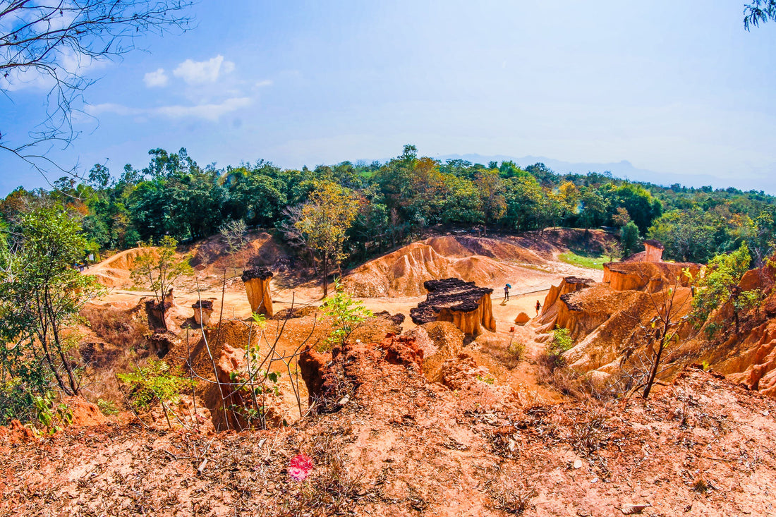 🌳 Cultivating Resilience: Combating Soil Erosion 🌿