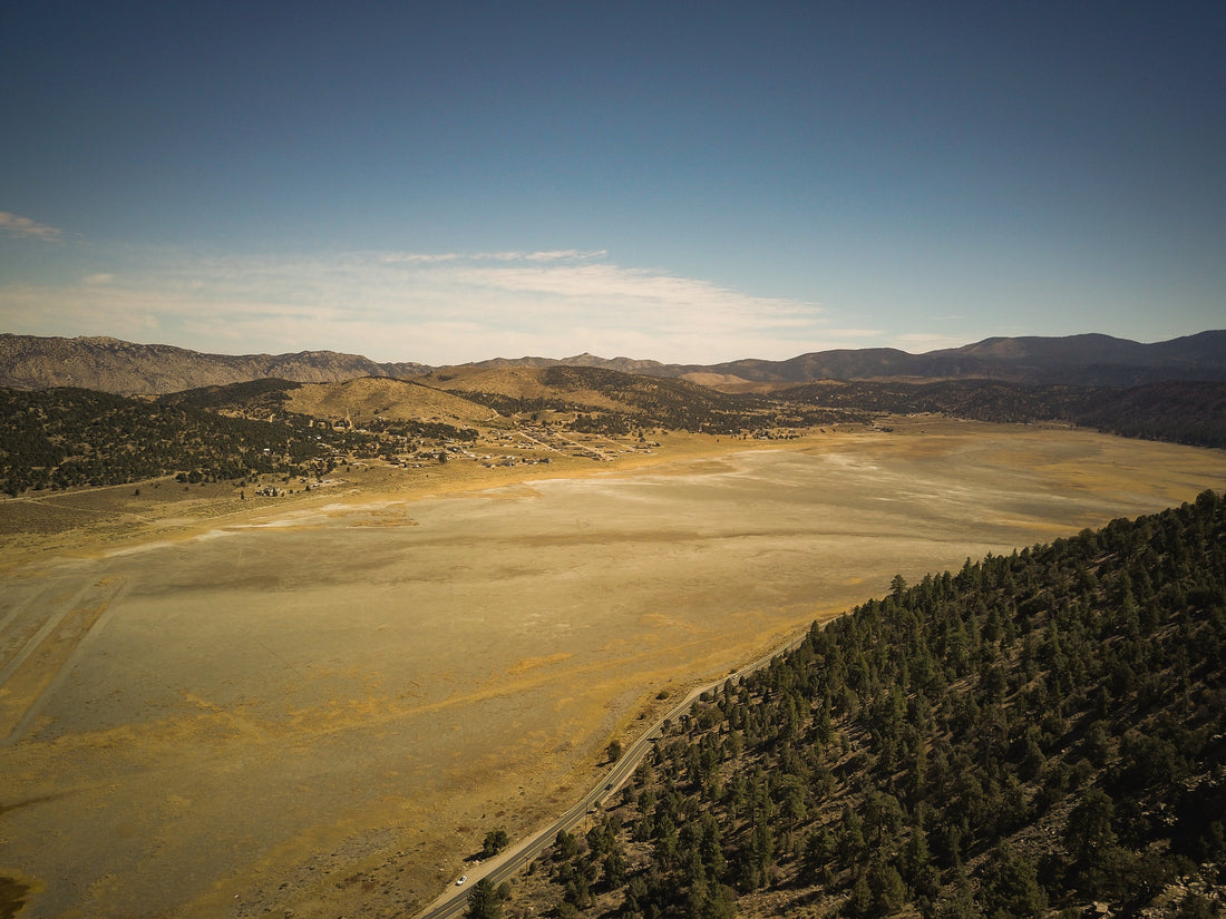 From Desert to Oasis: Reforestation Projects Transforming Our World