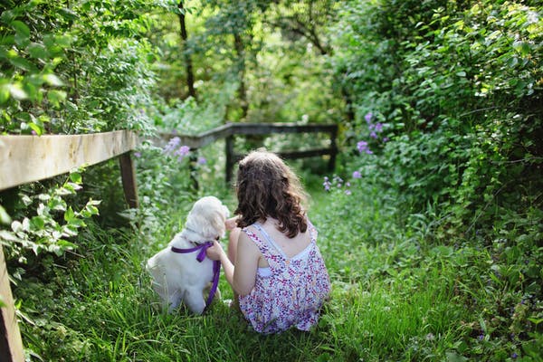 How Taking a Walk in Nature Seems to Solve All Our Problems