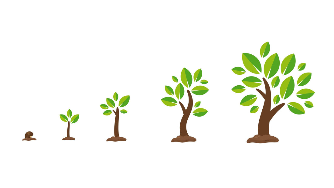 From Saplings to Giants: Documenting Tree Plantation Triumphs in India