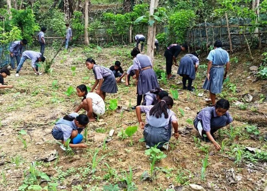 Nutri-Garden Revolution: How Poshan Vatika is Growing a Healthier, Greener India 🌱