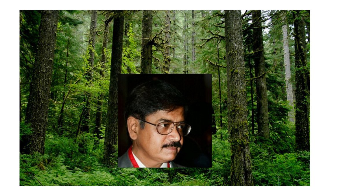 Rajesh Gopal: Champion of Green Innovation & Environmental Sustainability