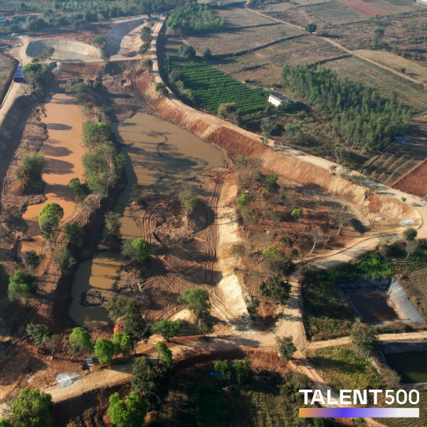 Trees by Talent500 Team