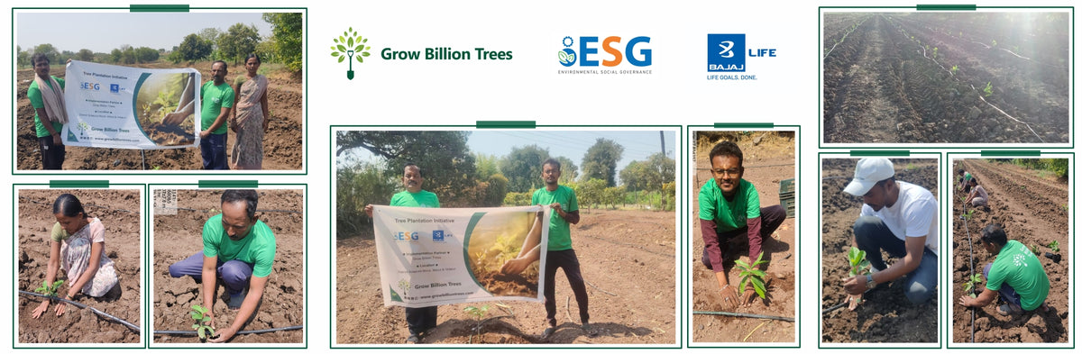 BALIC’s Commitment to Growing a Greener and More Sustainable Future