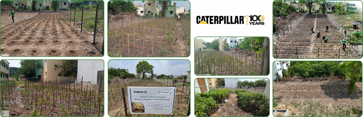 Caterpillar's Legacy: A Learning forest in Sirukadal, Thiruvallur