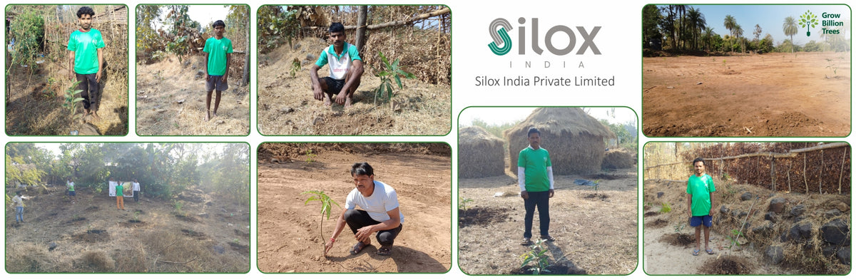 Silox India Agroforestry Initiative: Cultivating Sustainability and Biodiversity