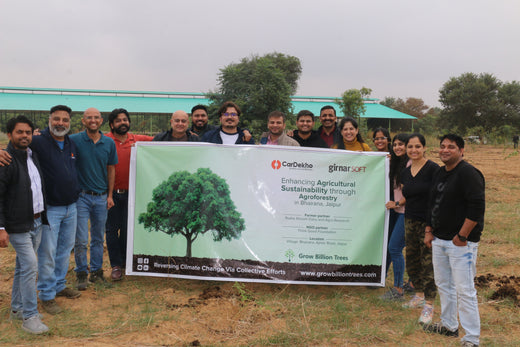 Tree Plantation Drive On Earth Day: Your Green Action Guide