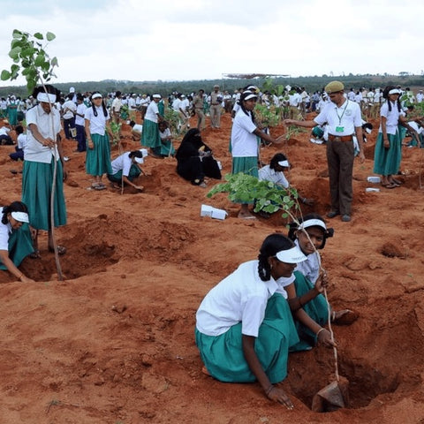 Trees for Earth Day - Plant Your Impact Today