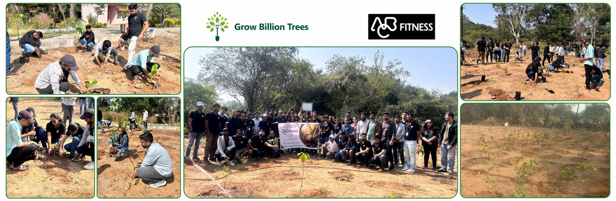 Fit for the Future: ABC Fitness Solutions’ Urban Forest Drive