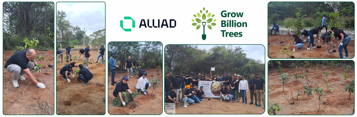 Greening the Future: Alliad’s Urban Forest Initiative