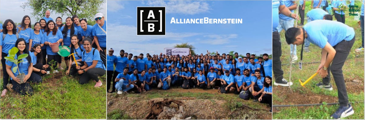 Alliance Bernstein’s Step Toward Greener Cities with Urban Forest Engagement