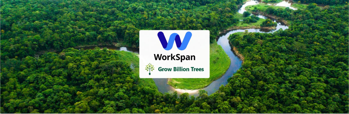 Angad Corporation: Fostering Growth Through Urban Forests