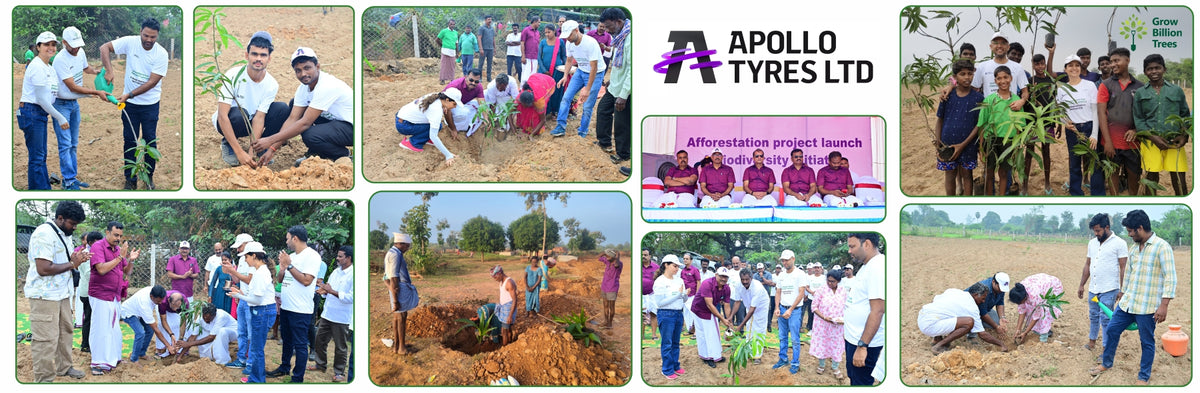 Apollo Tyres’ Mission to Boost Farmer Livelihoods and Tree cover in Andhra Pradesh