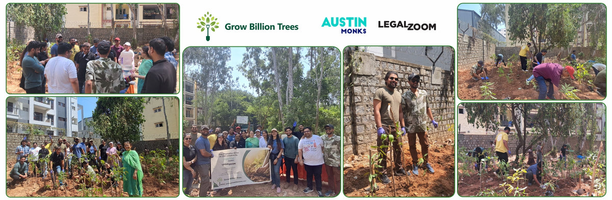Urban Oasis: Austin Monks’ Green Vision in Bangalore