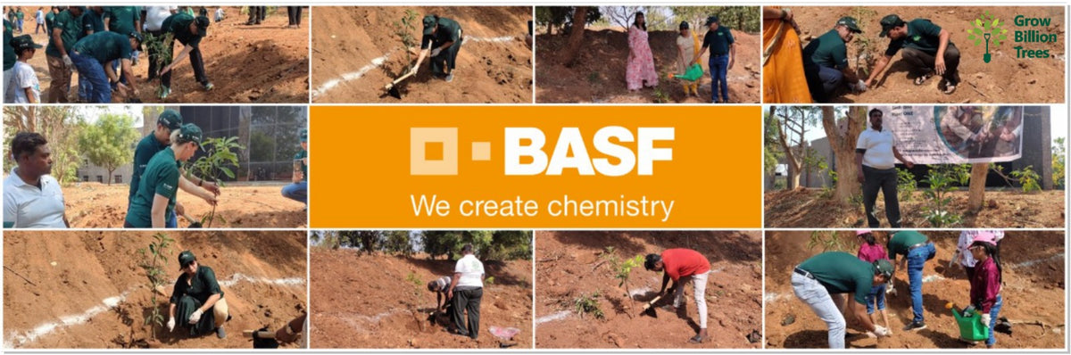 "Green Bonds: BASF/V5 Events Fosters Employee Unity Through Urban Tree Plantation"