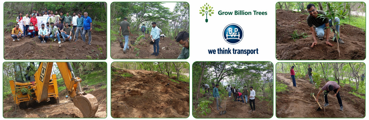 Engineering Green Futures: BPW India’s “Grow a Tree” Urban Forest