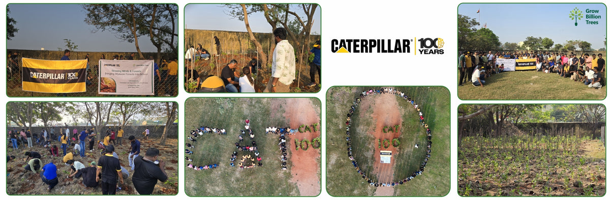Caterpillar's Legacy: A Learning forest in Kovilambakkam, Chennai