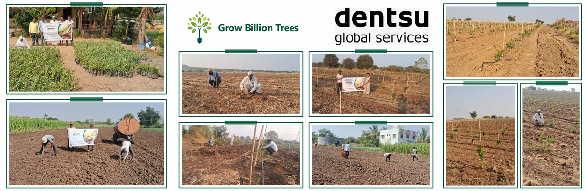 Planting Hope for Future Generations with Dentsu Global Services
