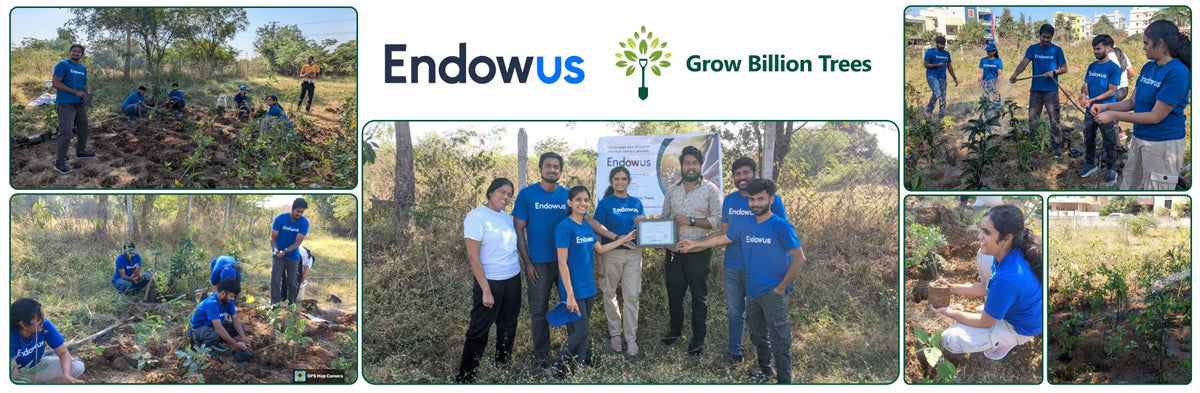 Endowus Go Green Initiative: Cultivating Green Wealth for Generations
