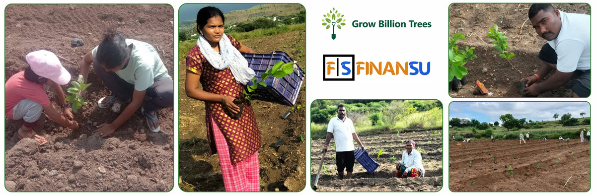 Fund & Forest: Finansu’s Sustainable Lending Drive