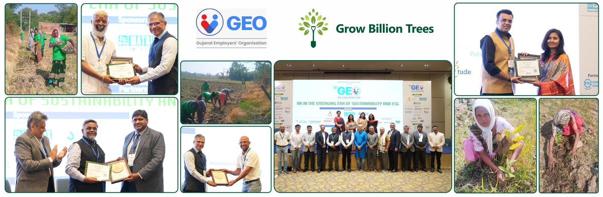 Learning, Leadership & Sustainability at GEO HR Convention 2025